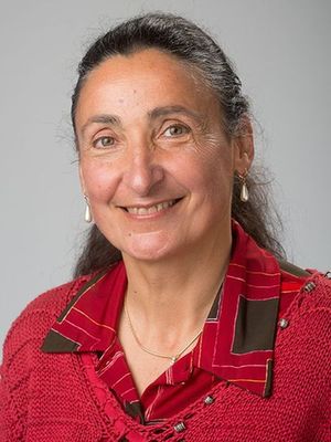Isabelle Guyon